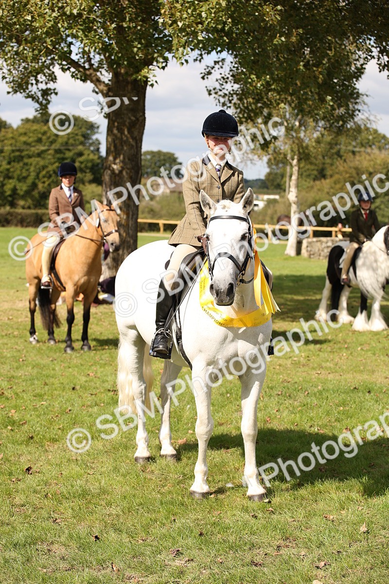 SBM_42389 - S13 - Pony Club Pony