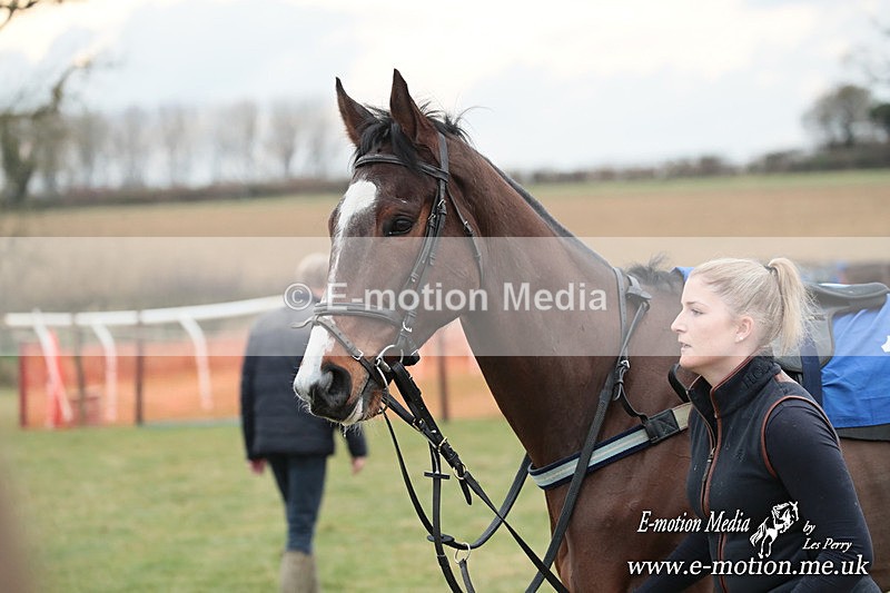 PtP 220325 310 - Cirencester Races -  Siddington 22/03/25