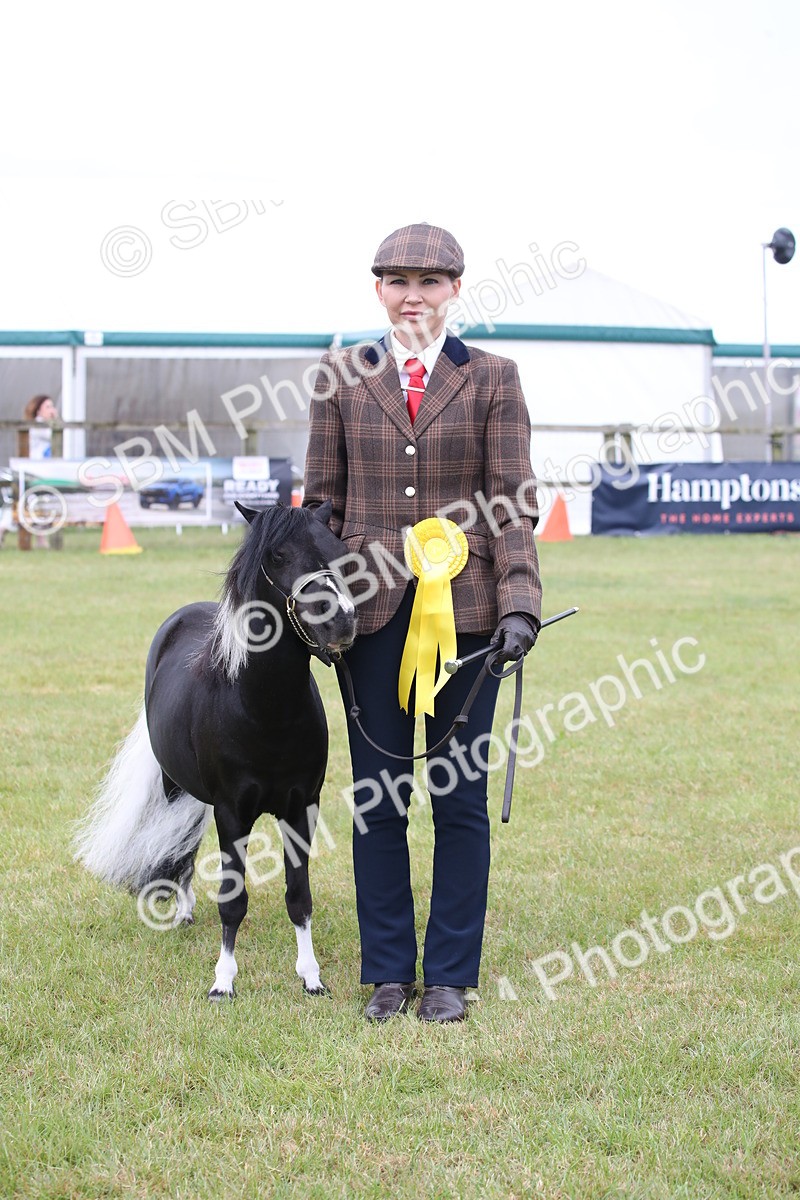 SBM_03833 - Class 23-25 - British Miniature Horse of the Year