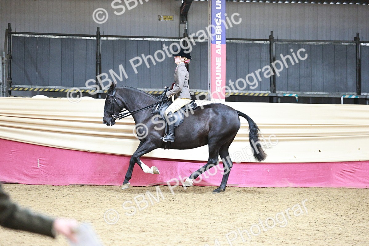 SBM_08673 - Regional Ridden Champ