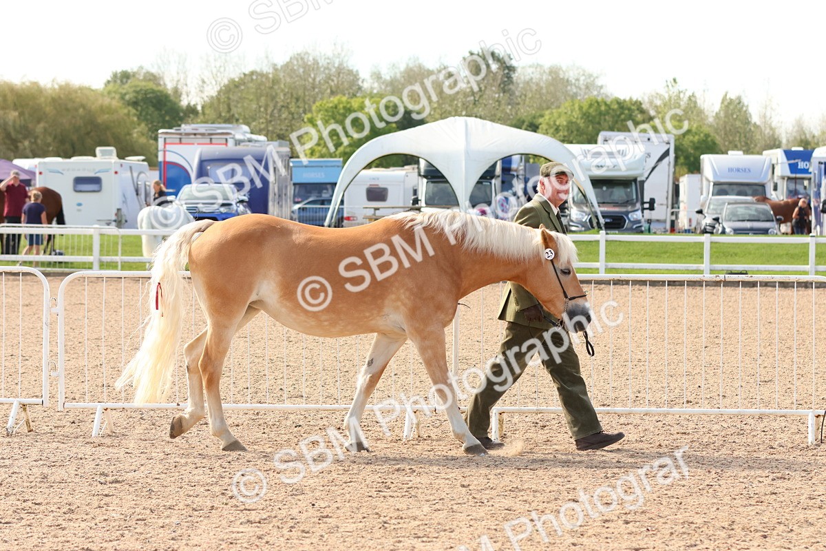 SBM_17967 - Class 707 - IH Groom - Helpers Glass