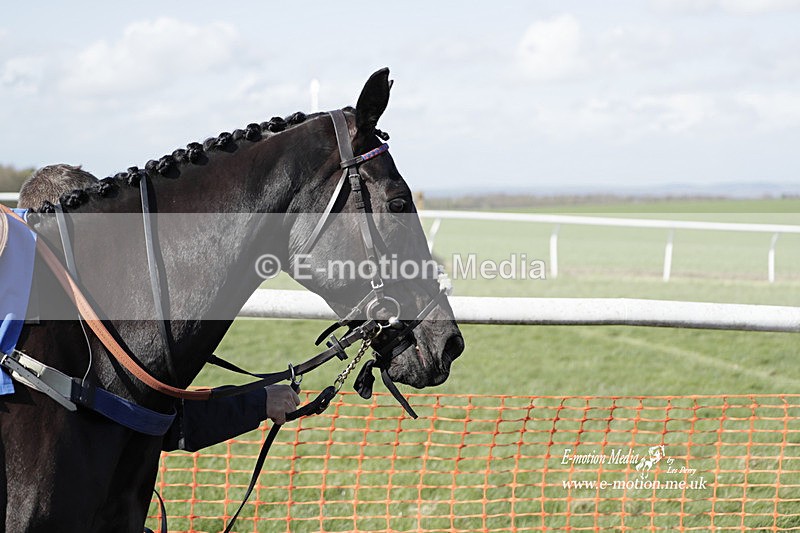 PtP 100423 956 - Old Berkshire Point-to-Point Lockinge 10/04/23