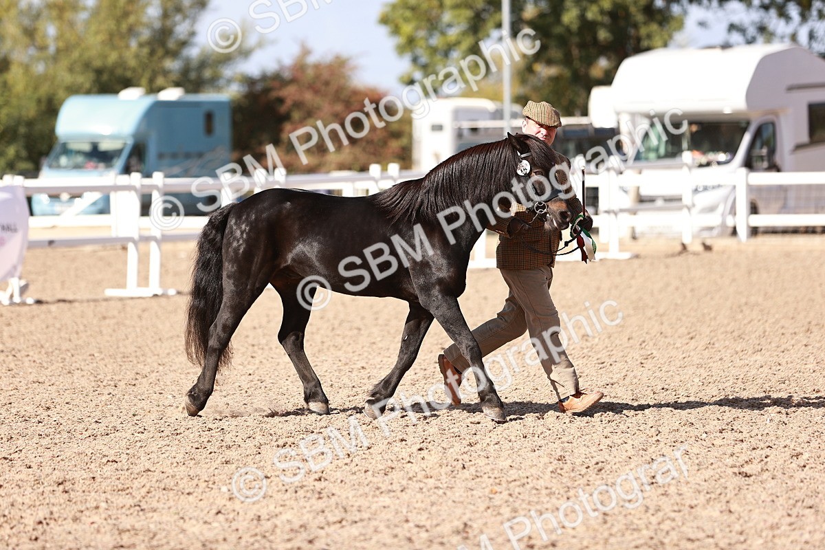 SBM_22851 - Class 705 - IH Combination 65+