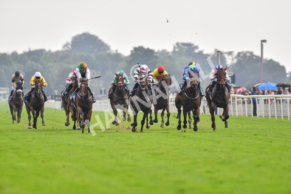 100923-Race 6-Anjo Bonita-2069 - Race 6 4.25pm Hanson Springs 60th Anniversary Handicap at York