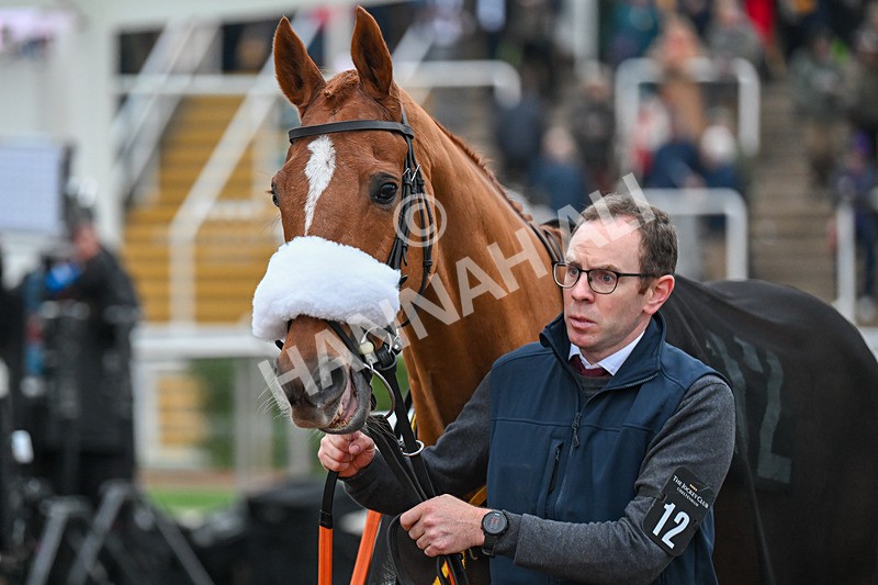 151124-Race 6-Paddock-Belgoprince-8750 - Race 6