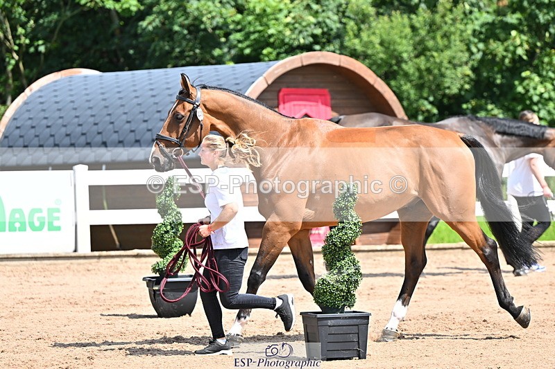 240718A-105242-01050 - Trot Up 11am to 12pm