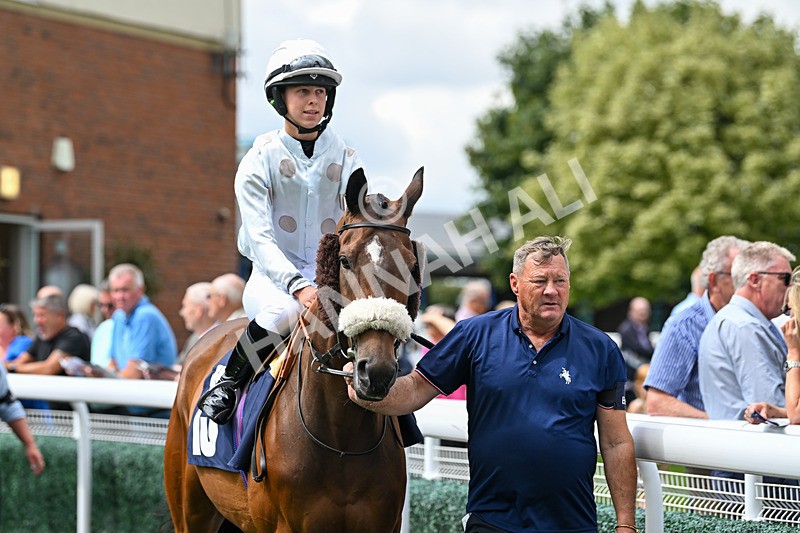 290725-Race 1-Poets Dawn - Star Start-9203 - Race 1