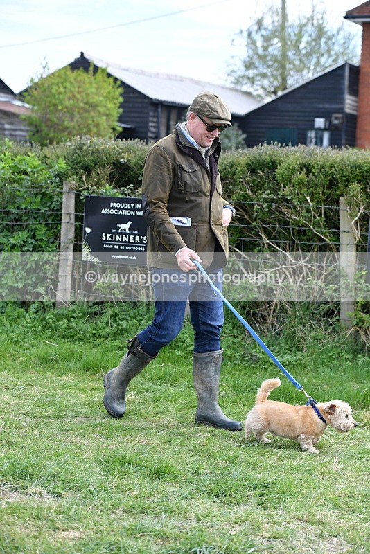 WJ5_0244 - Class 7 Best Terrier