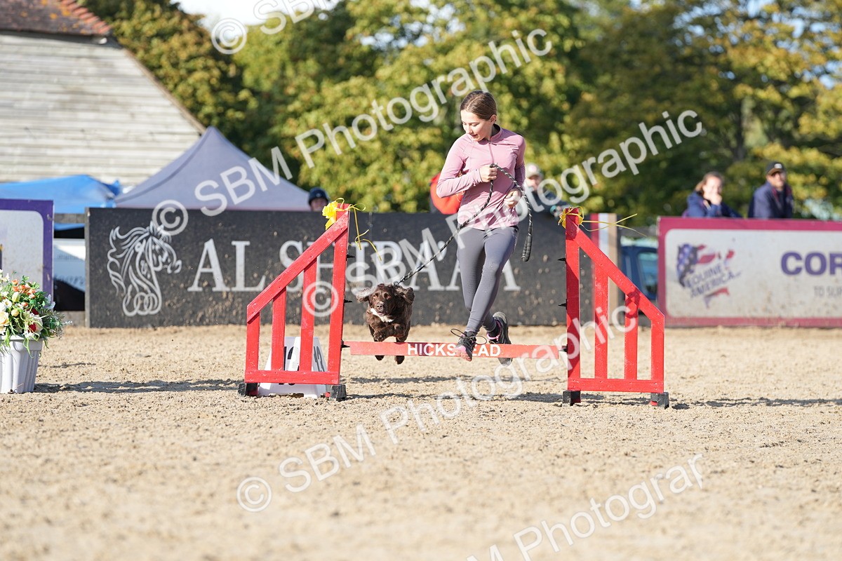 SBM_28957 - J43 - Horse & Hound Open 50cm