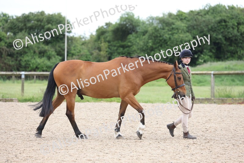 20250524-0959 - Class 9 - Cob and Hunter