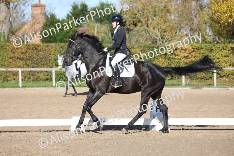 20251102-0773 - Class 4 - Novice 6