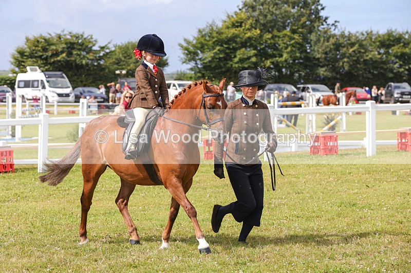 1X9A3632 - Class 29: Lead Rein SP/SHP