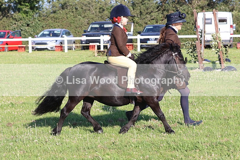 JPP_0844 - Class 16: Cornish Combination Leading Rein