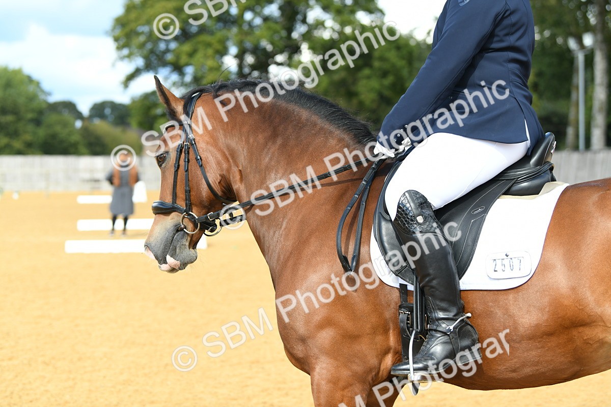 SBM_07428 - D15 Small Tour Championship Novice 24