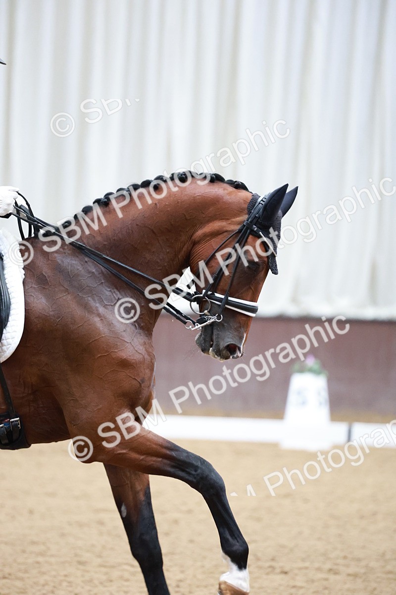 SBM_010362 - Class 13 - FEI PSG - 13.14-14.20