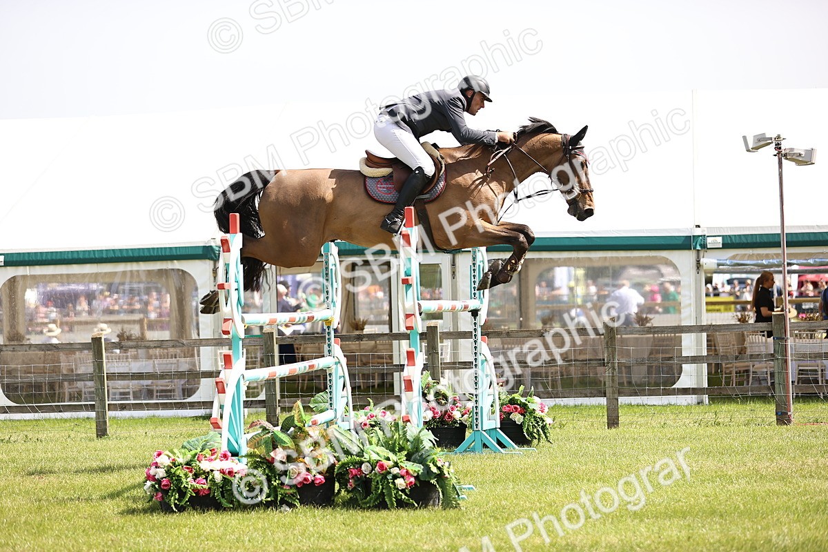 SBM_03256 - Class 201 - British Horse Feedds Speedi Beet HOYS Grade C