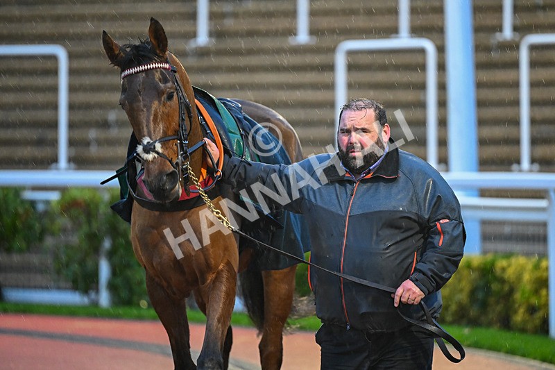 141125-Race 6-French Emperor-1259 - Race 6