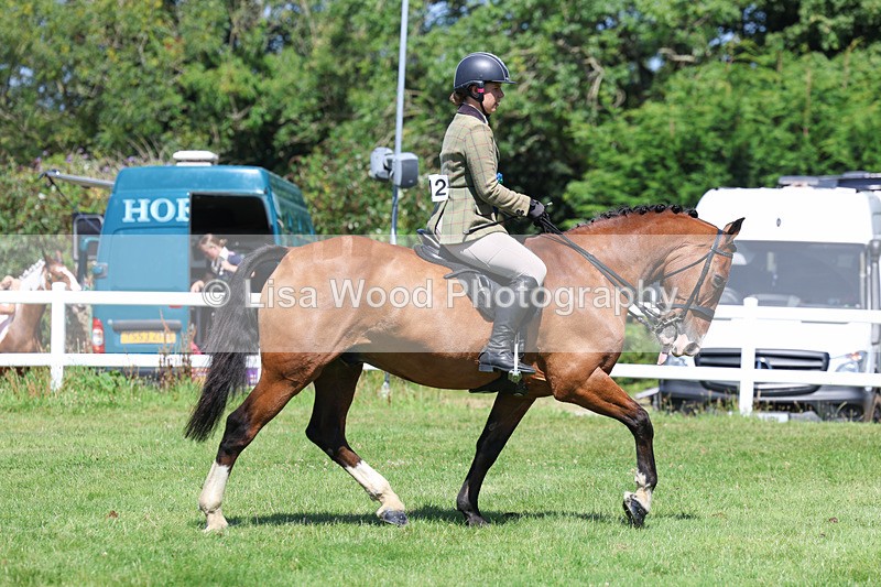 3E7A9131 - Working Hunter Championship