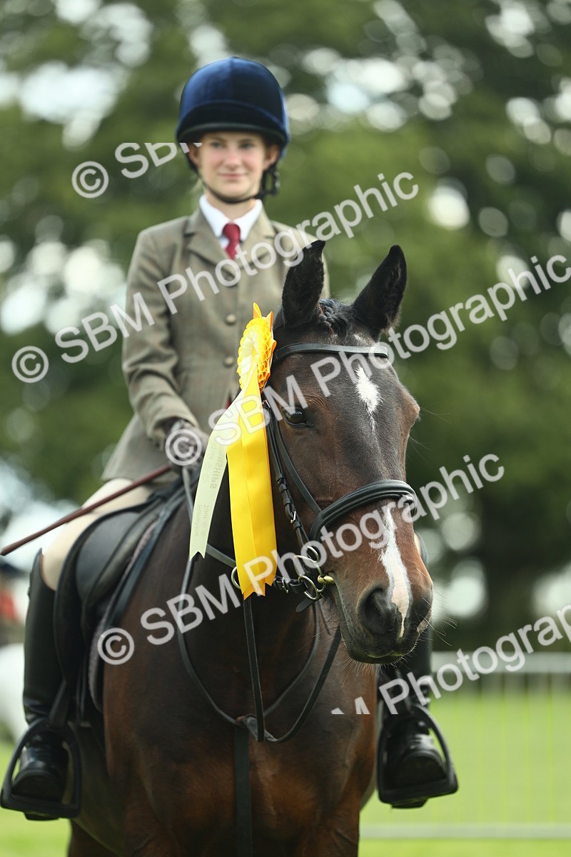 SBM_42242 - S29 - Novice & Newcomers Working Hunter Pony