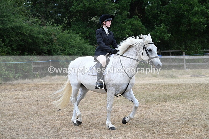WJ7_0945 - Class 7 Riding Club Show Horse