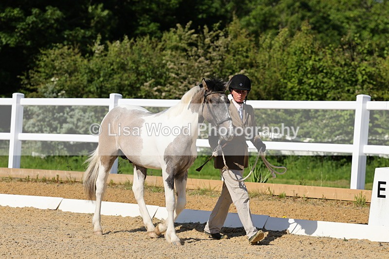1X9A0594 - Class 3: Youngstock 1, 2, 3 year old not to exceed 153cm