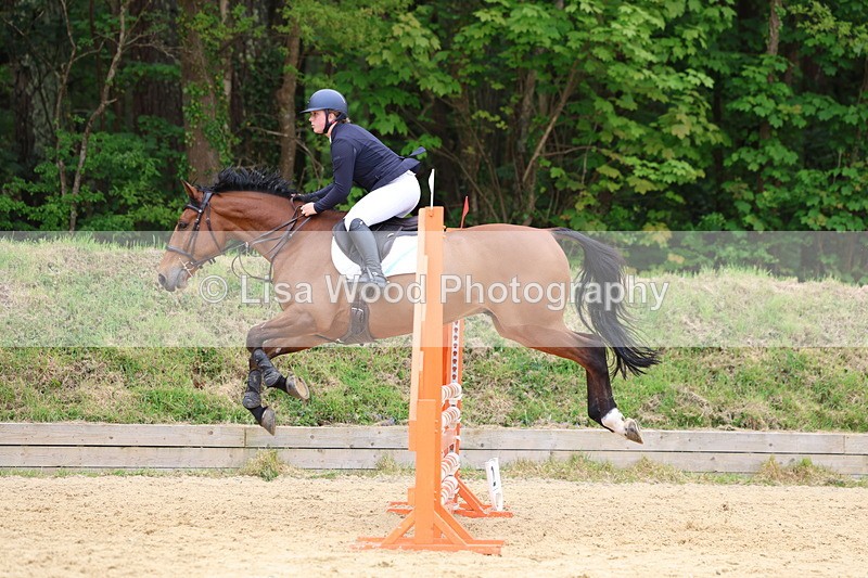 3E7A6381 - Class 4: Senior British Novice/90cm open