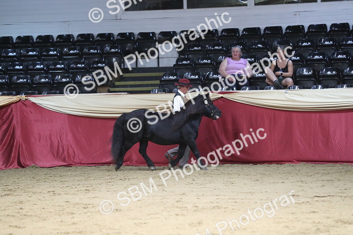 SBM_06267 - Class 9R Regional- IH Pre Vet
