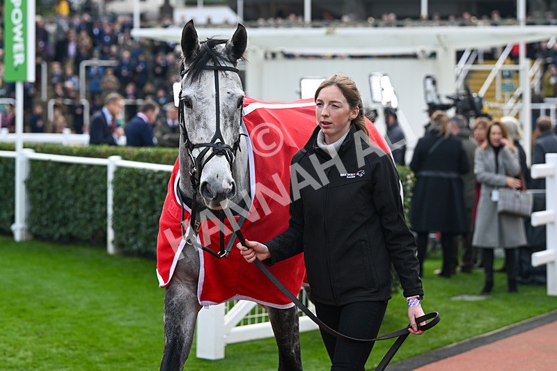 161124-Race 3-Paddock-Leau Du Sud-9824 - Race 3