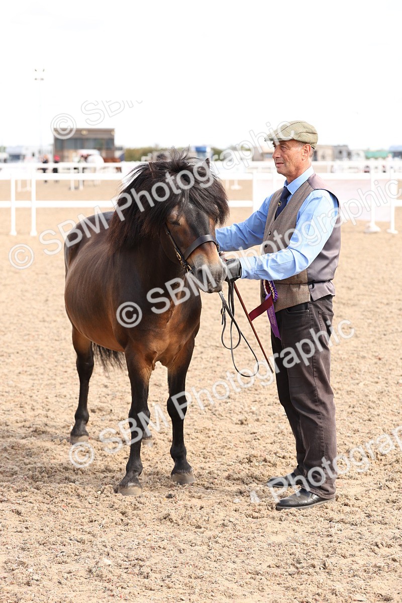 SBM_14161 - Class 207 - IH M&M