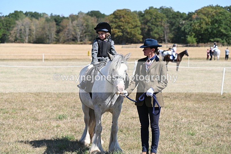 WJ6_8162 - Class 36 Lead Rein
