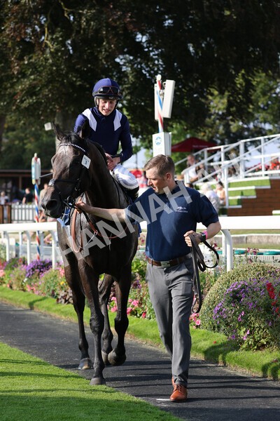 yr05092021r6-22 - Race 6 4.50pm Hanson Spring Stakes