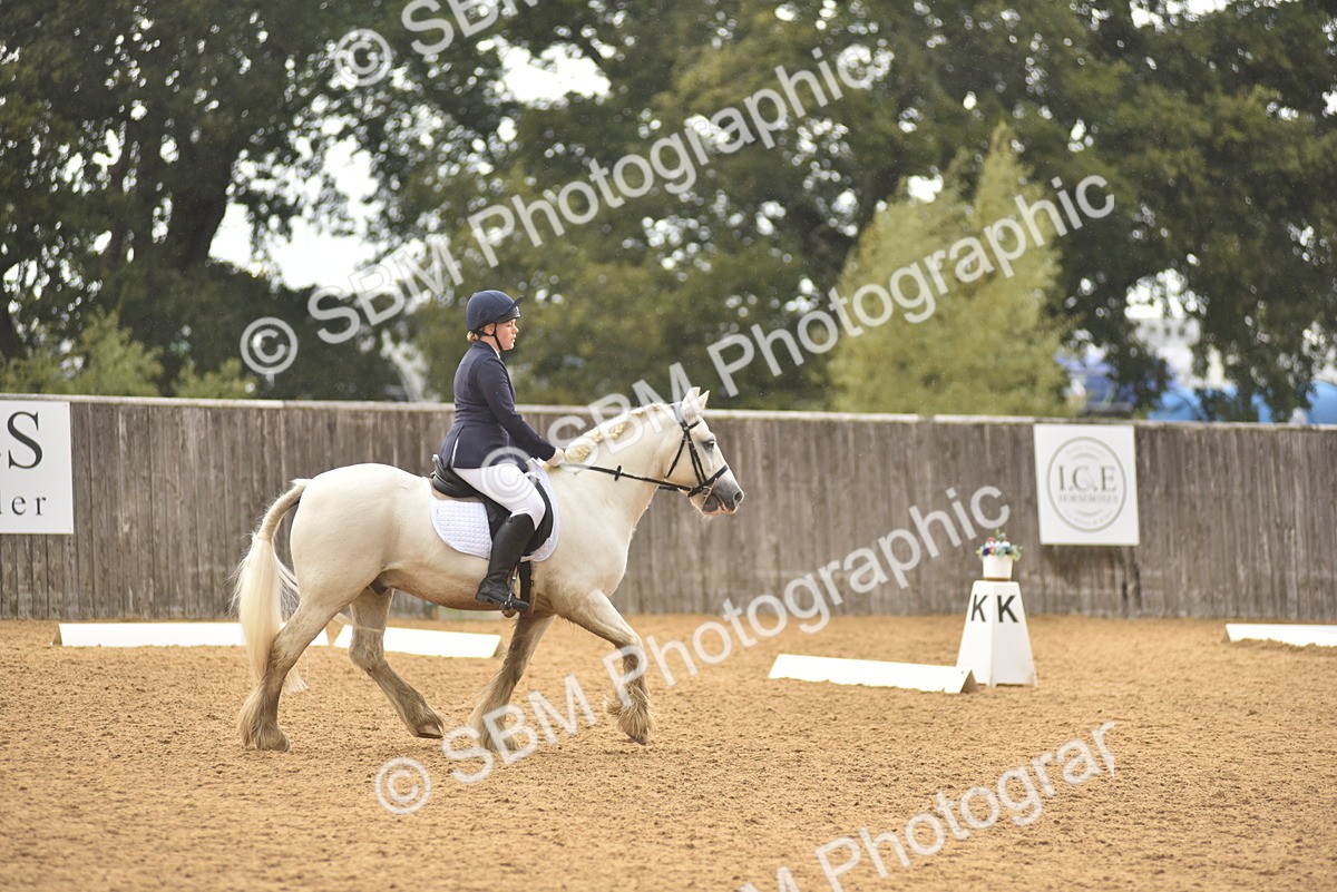 SBM_42420 - D22 - Junior Championship Intro 3