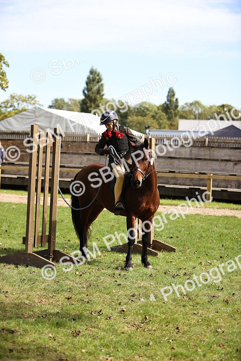 SBM_22892 - S4 - Have a Go at Working Equitation