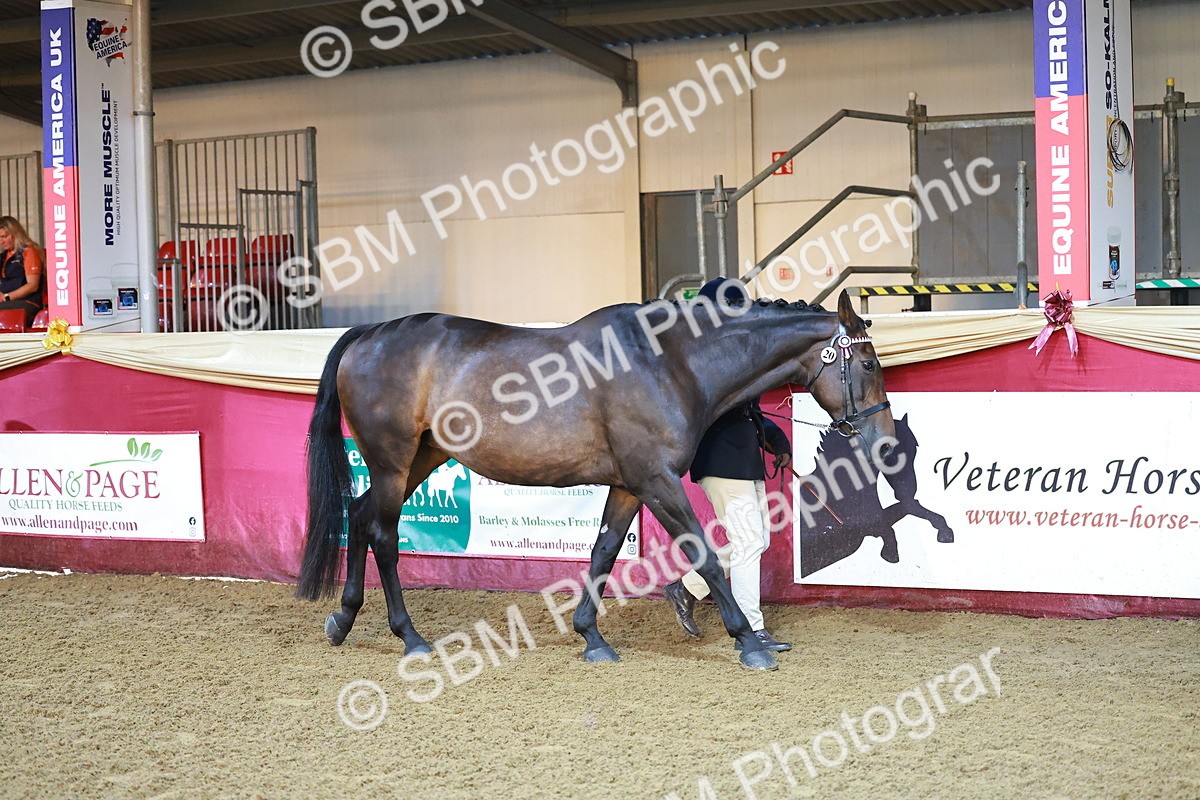 SBM_14681 - Class C - Novelty champ