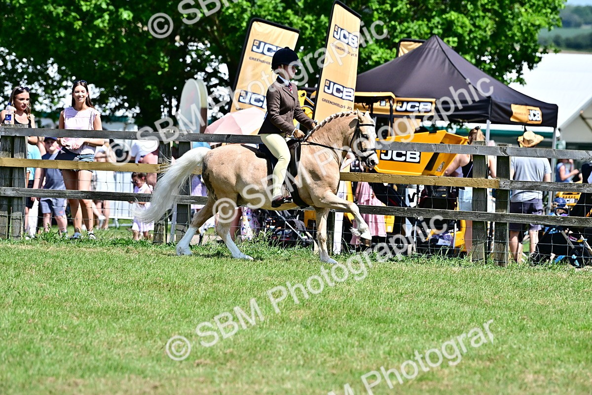 SBM_15335 - Class 95-97 - BSPS LHS Performance Ponies