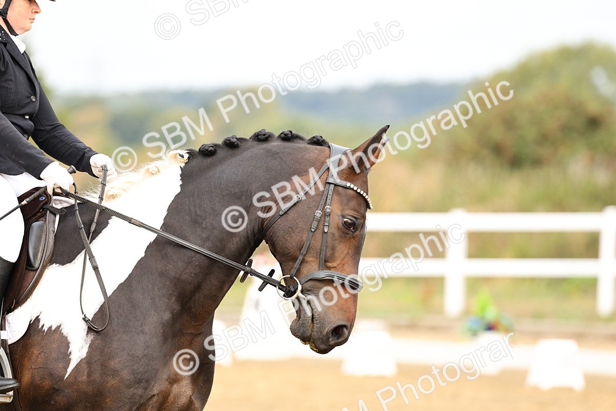 SBM_011455 - Class 1 - Prelim 4