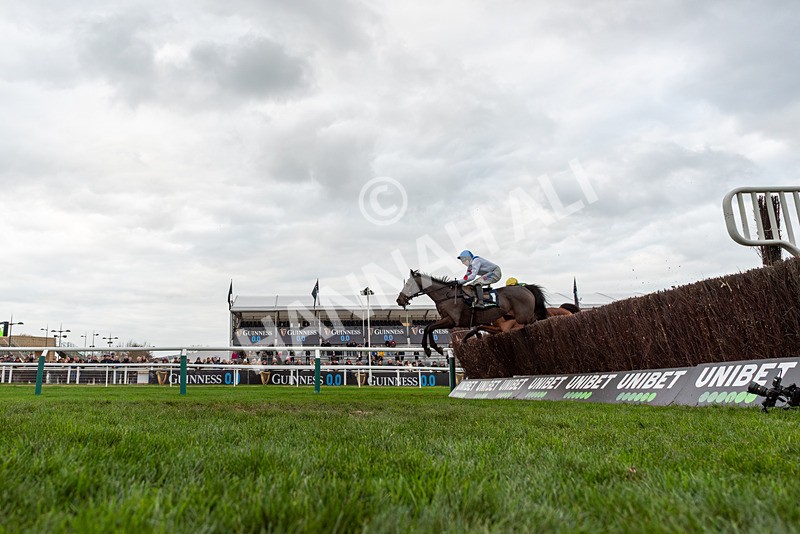 161125-Race 4-Protektorat-3046 - Race 4