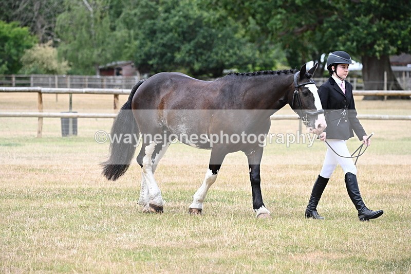 WJ6_4556 - Class 10 Coloured In-hand