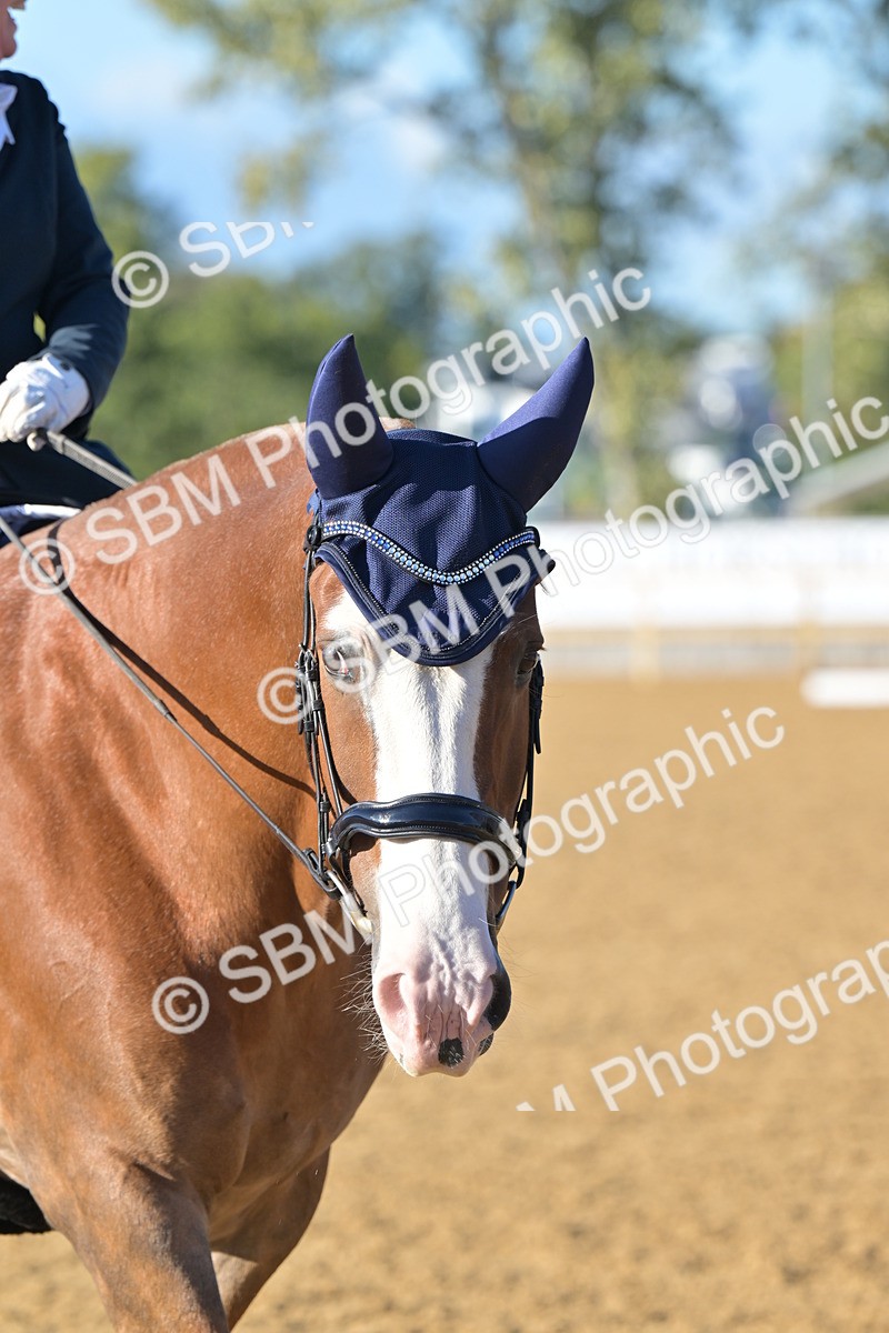 SBM_13010 - D3 - Small Tour Championship Intro 3