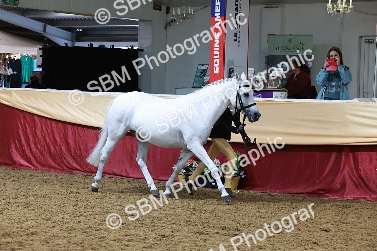 SBM_19928 - Class A - Junior Champ 10yr and Under
