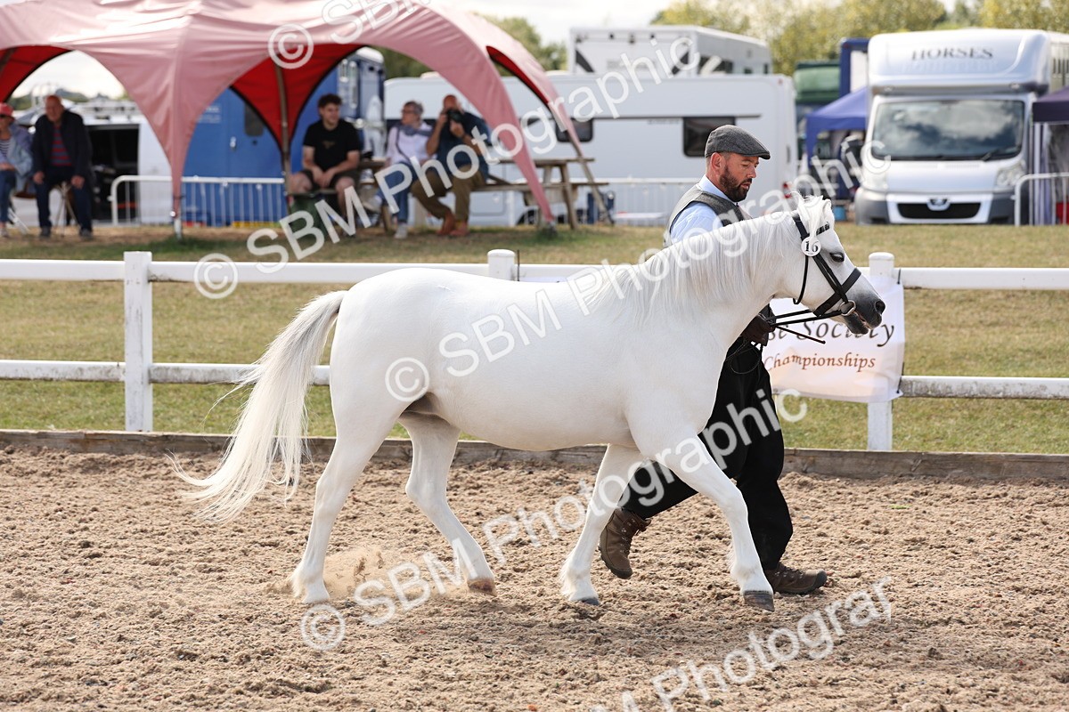 SBM_15046 - Class 209 - IH Veteran Pony