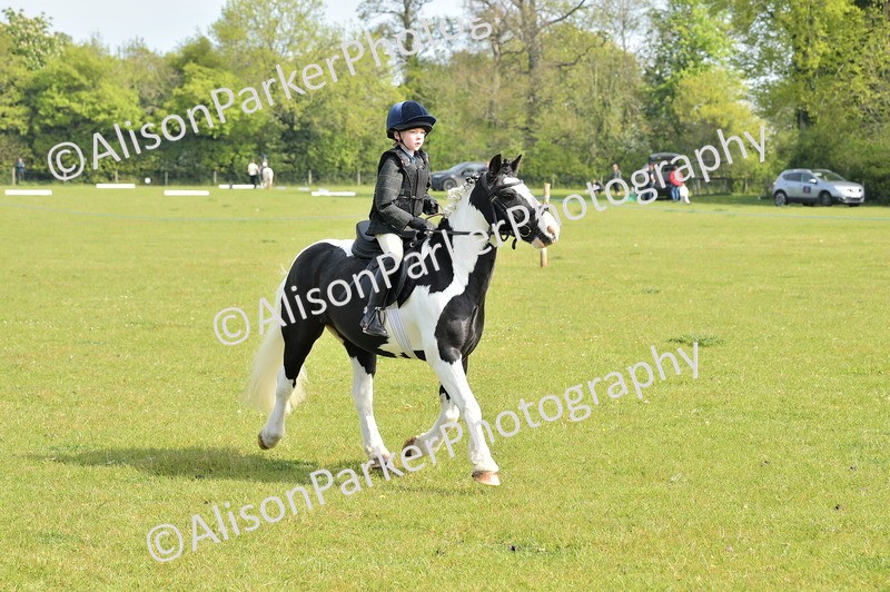 20260426-0935 - Class 18 - Novice Showing