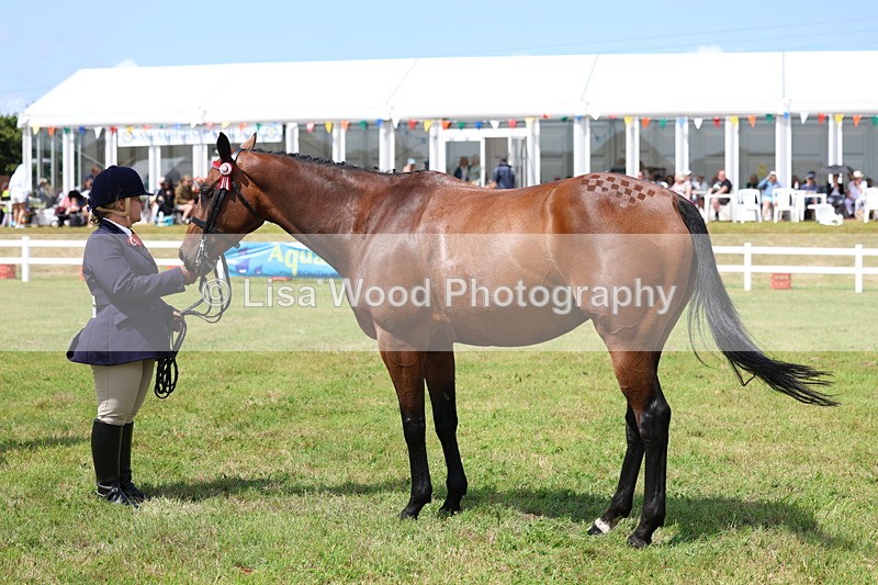 3E7A1128 - Class 8: Open Riding Horse/Hack