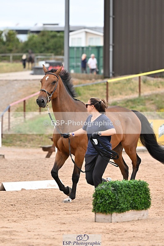 250716-160243-02359 - Trot Up 3.30 to 4.30