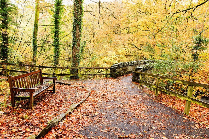 IMG_1978_ Lake District - Landscapes