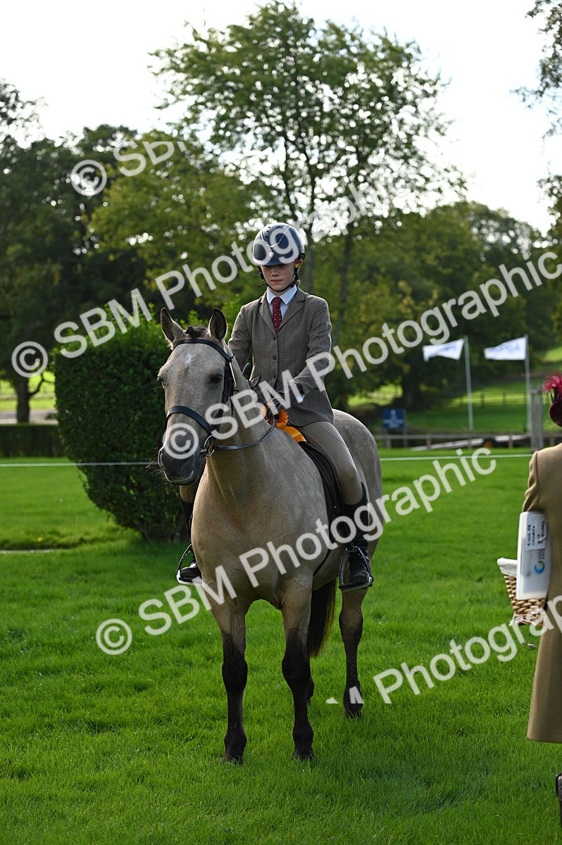 SBM_02091 - S2 - TSR Ridden Horse Showing