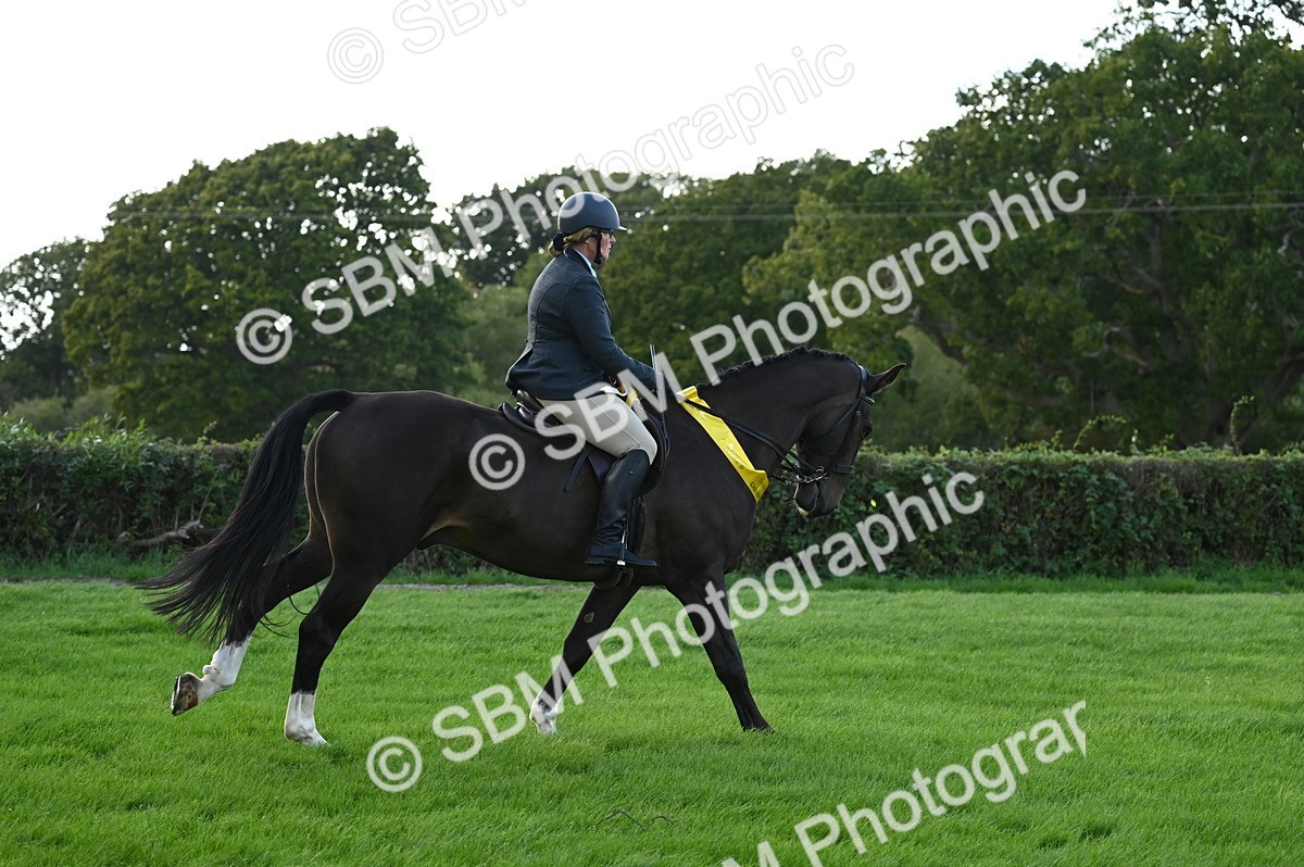 SBM_26499 - S6 - Novice & newcomer Ridden horse