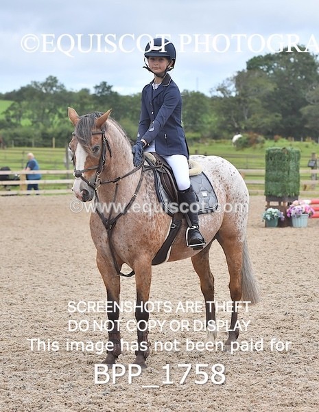 BPP_1758 - DERBY CLASS 4 - 50CM