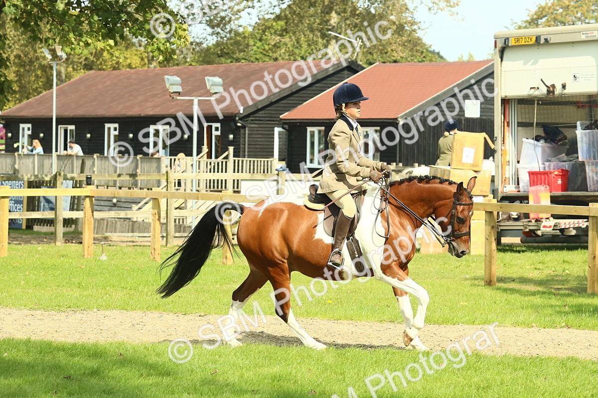 SBM_67496 - S56 - Coloured Pony Ridden