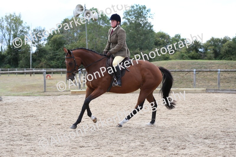 20260831-2618 - Class 15 - Ridden Retraining of Racehorses